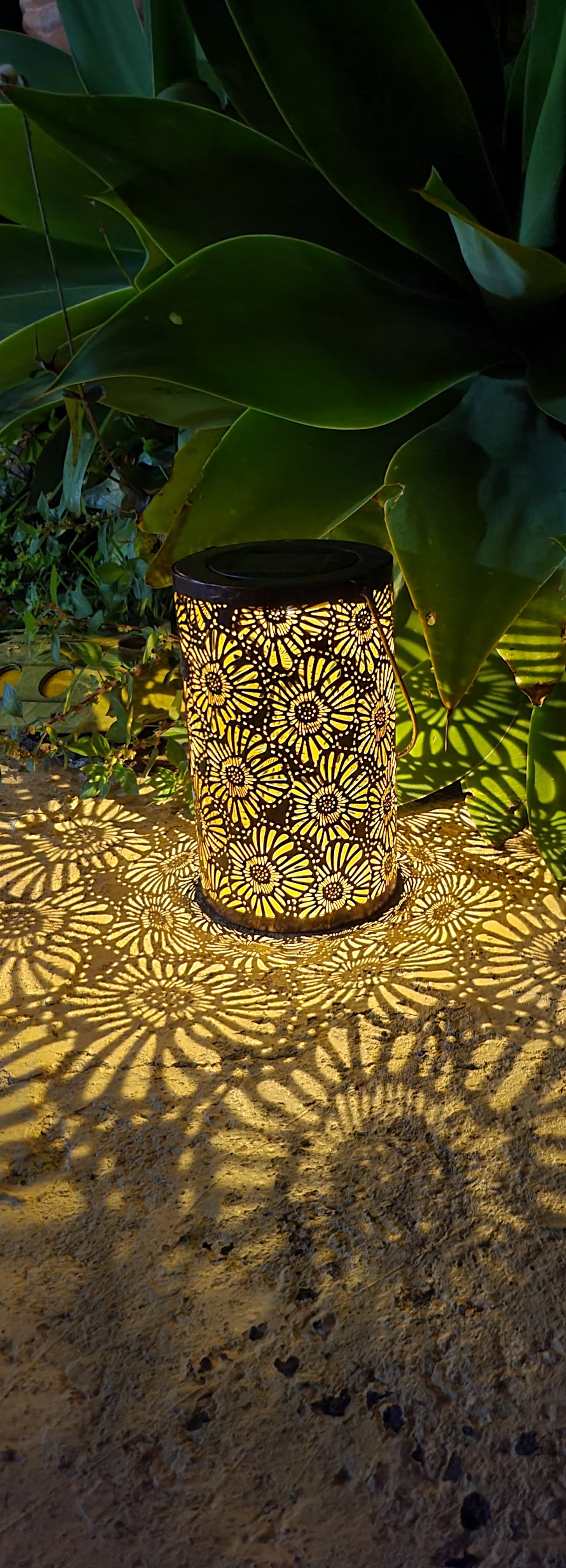 Daisy Solar Lantern - SOLAR3