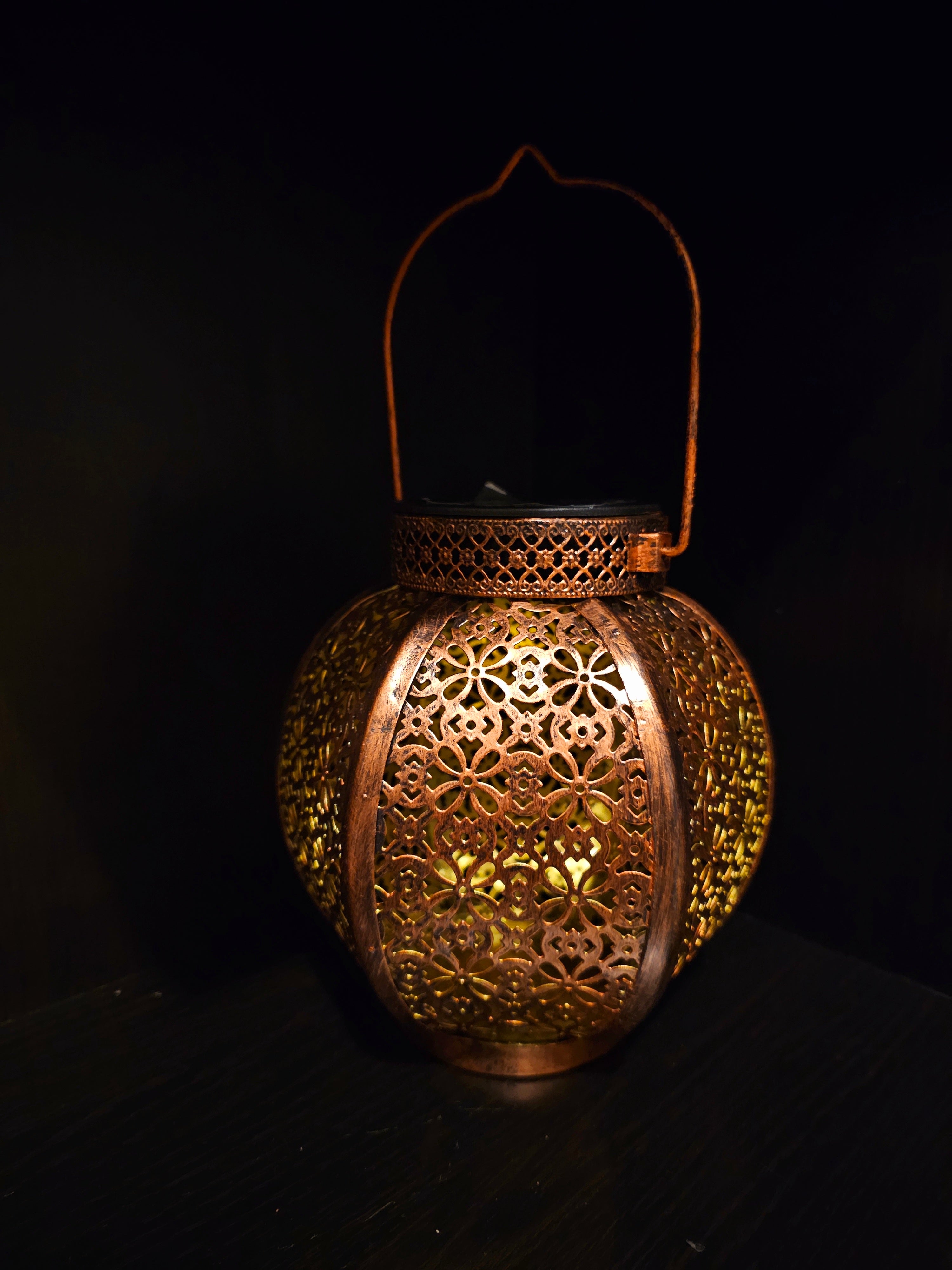 Blossom Solar Lantern - SOLAR5